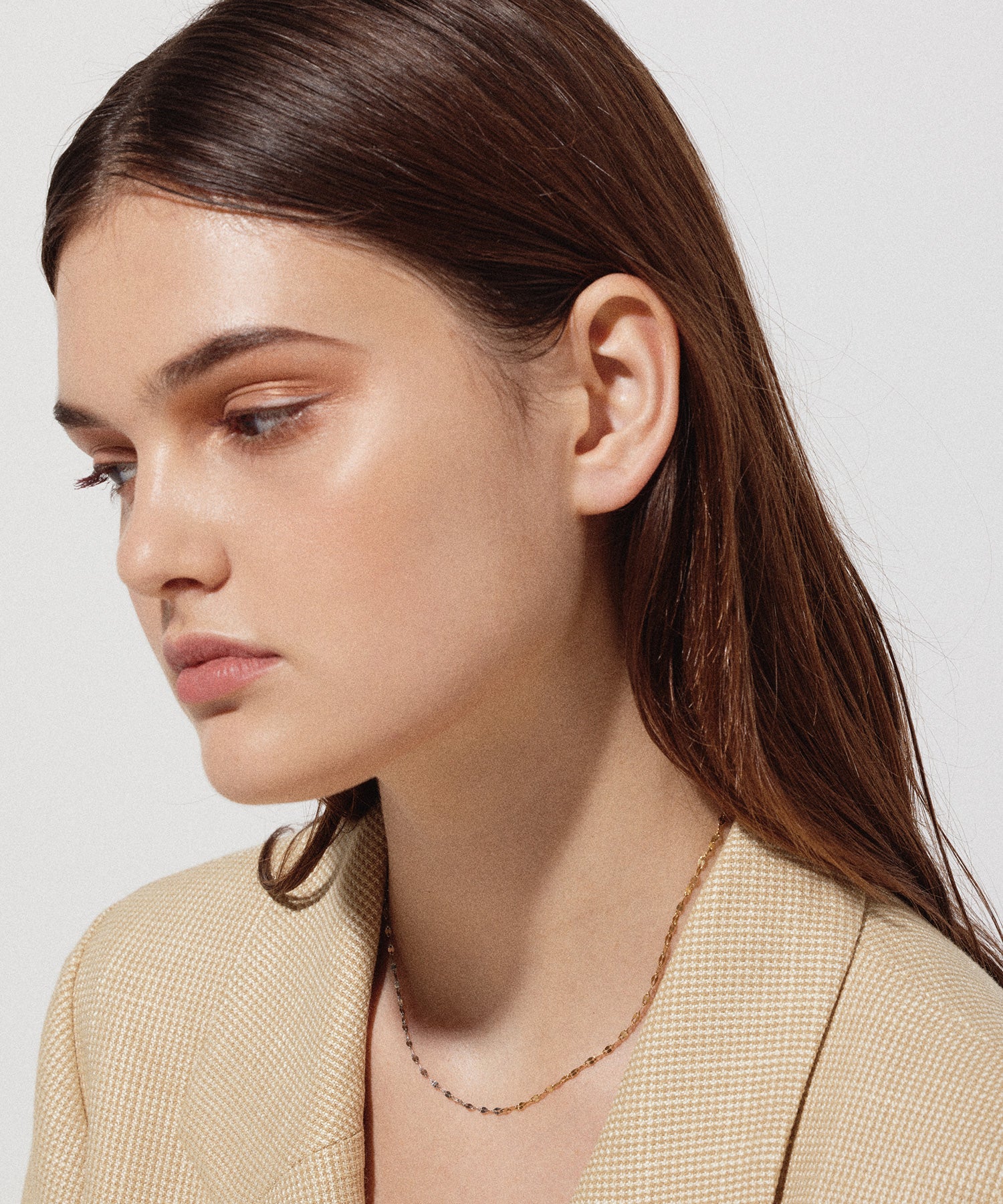 自行車顏色寵物清潔網