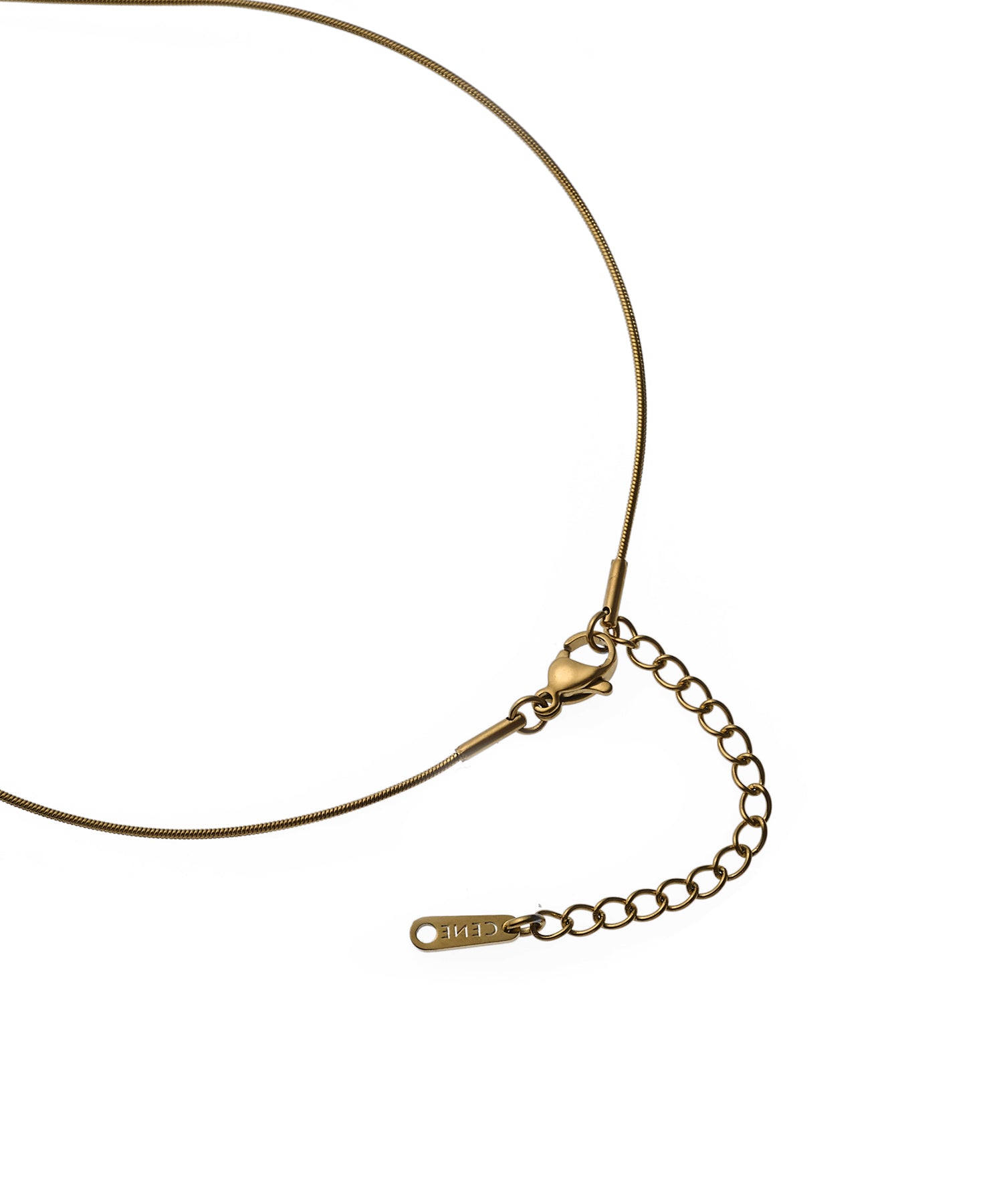 【Apple】オールニーク　ペンダント　トップ　チャーム　ネックレス ゴールド Charms – ALLNIQUE