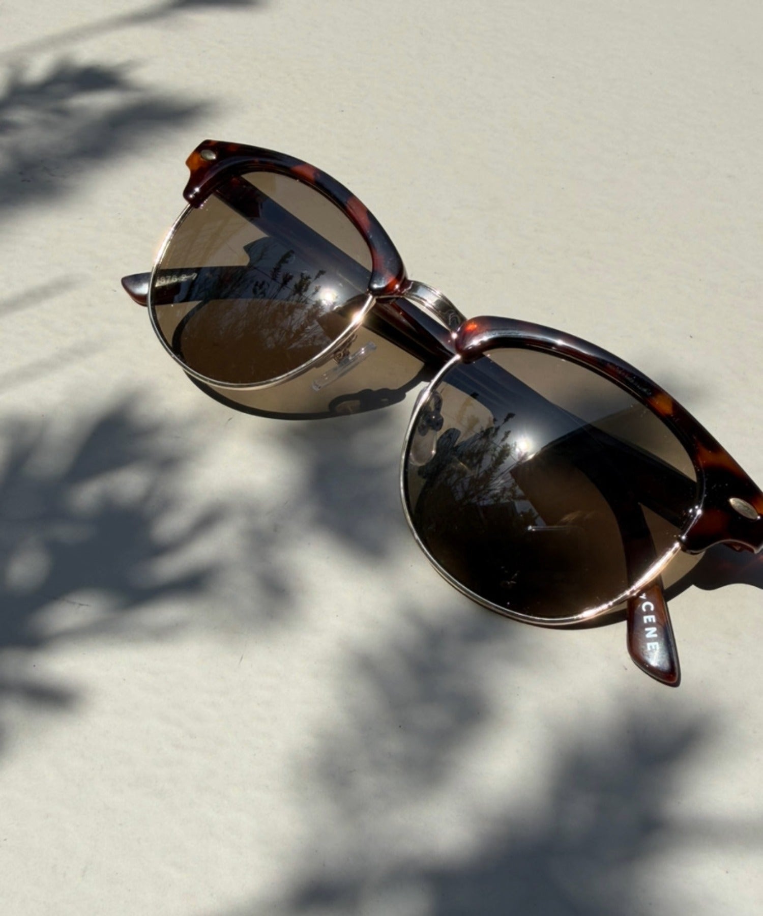 [ブラウン]カラーレンズサーモントブロー