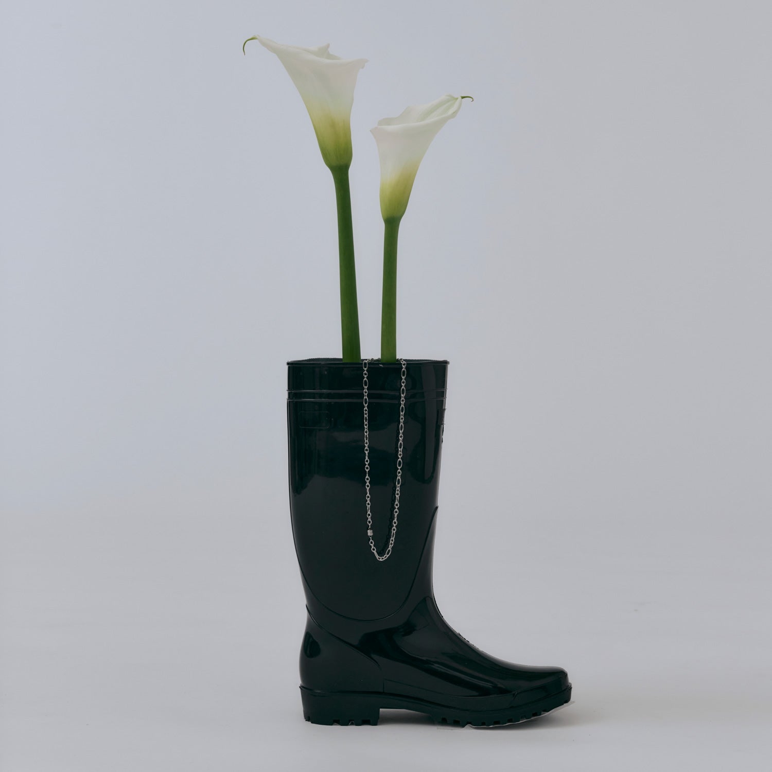 CENE（セネ） | Official Website